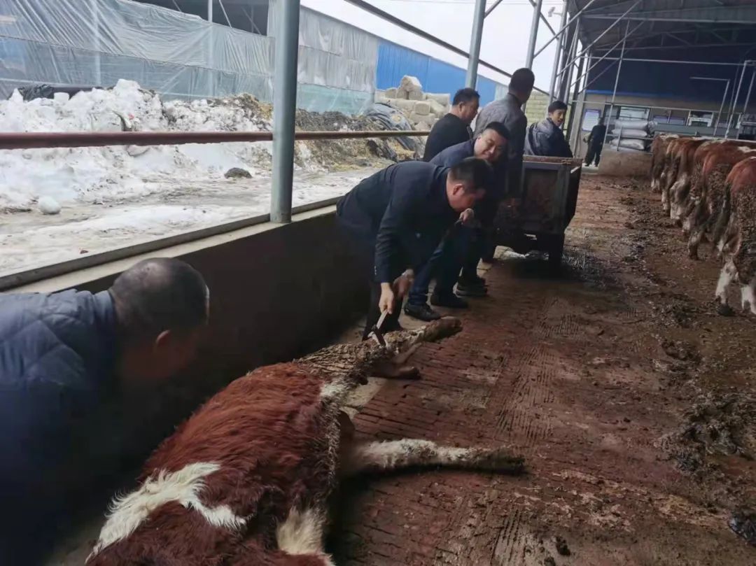 中国·太阳集团tyc138(品牌公司)·Official website