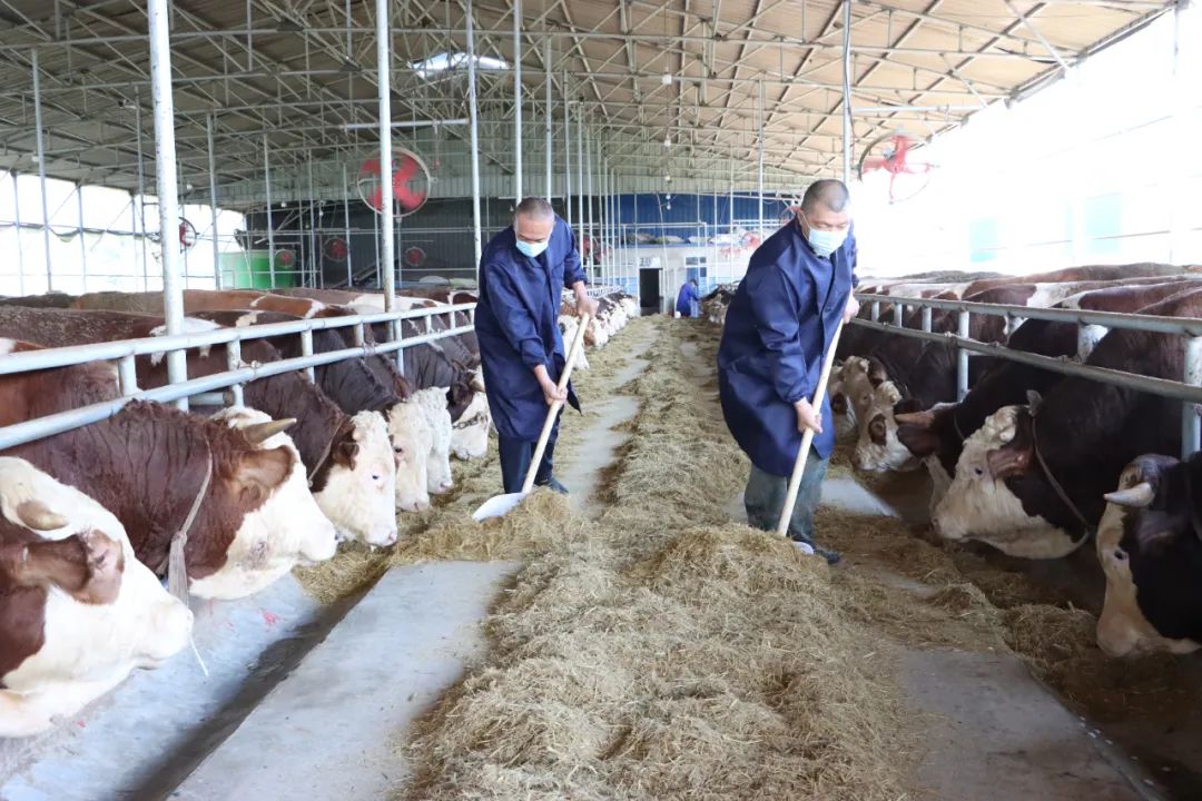 中国·太阳集团tyc138(品牌公司)·Official website