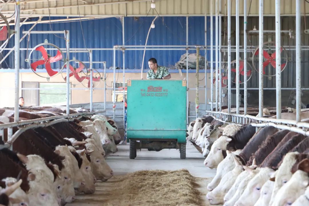 中国·太阳集团tyc138(品牌公司)·Official website