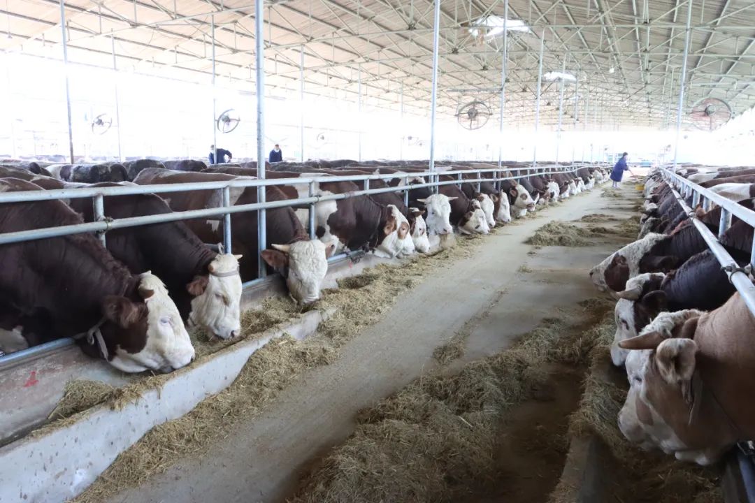 中国·太阳集团tyc138(品牌公司)·Official website