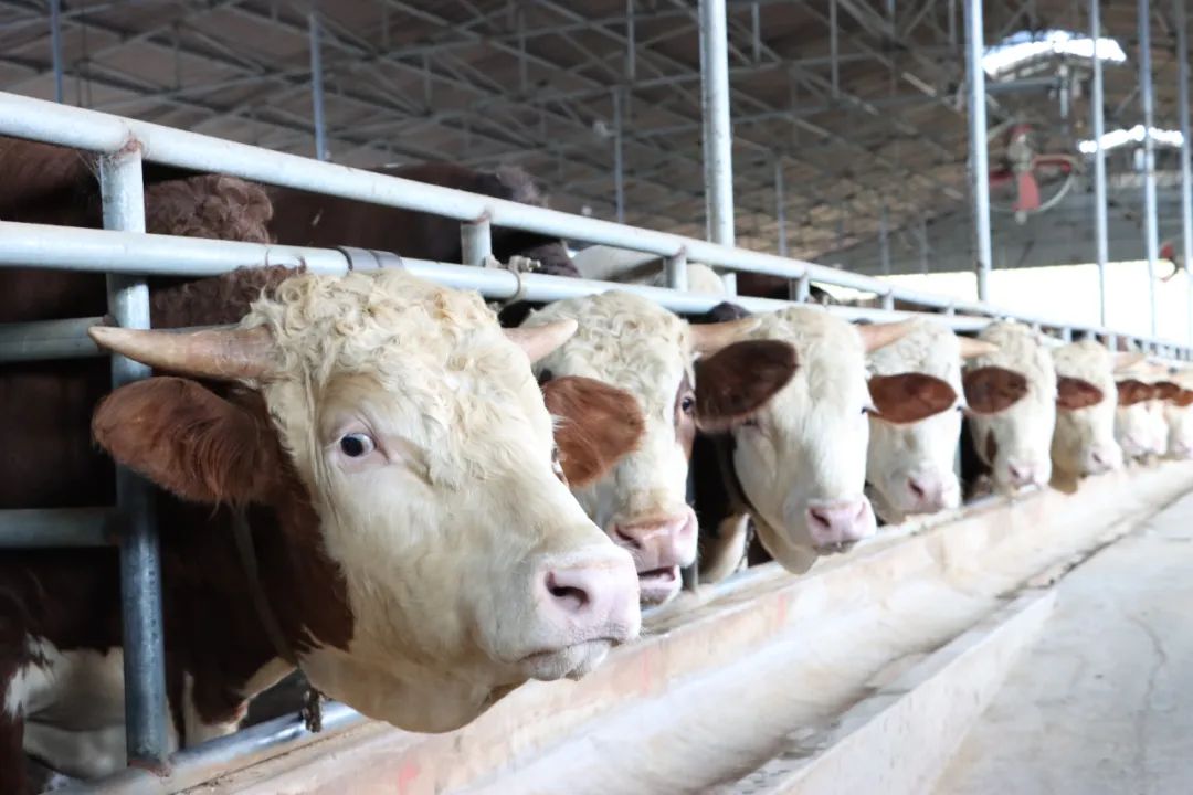 中国·太阳集团tyc138(品牌公司)·Official website