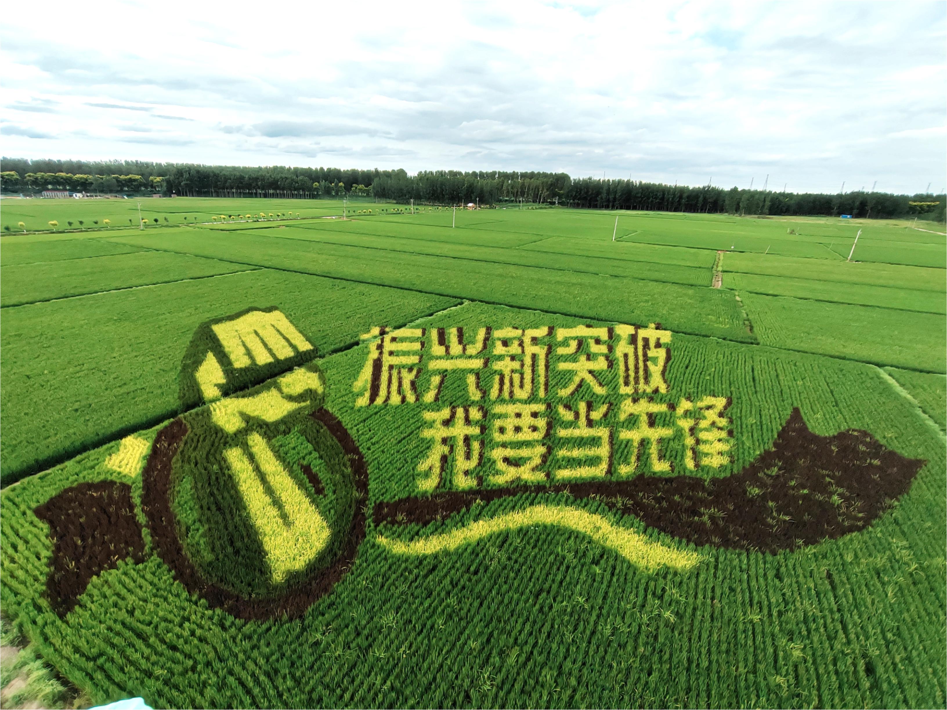 中国·太阳集团tyc138(品牌公司)·Official website